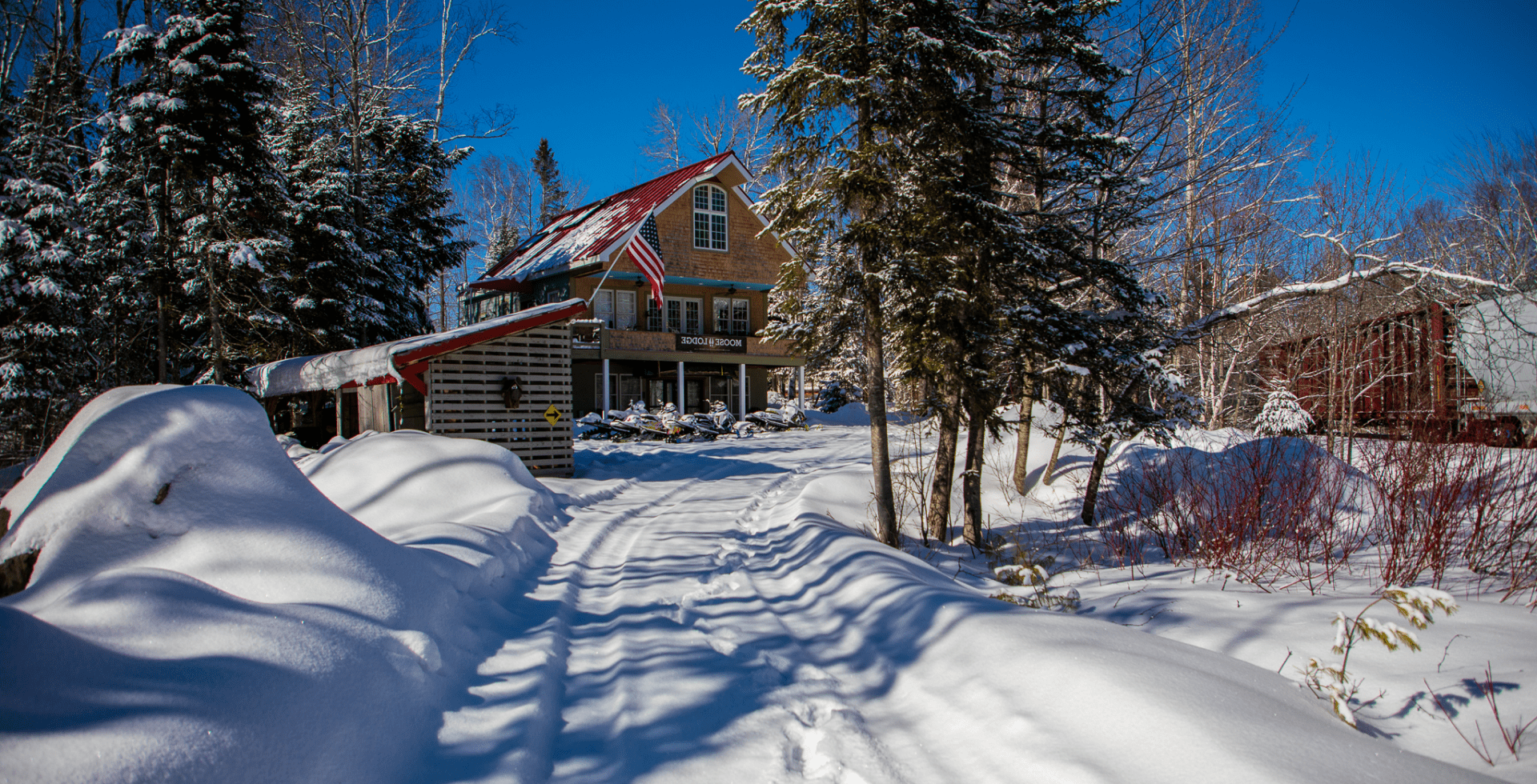 A cozy cabin surrounded by snow-covered trees on a sunny winter day.