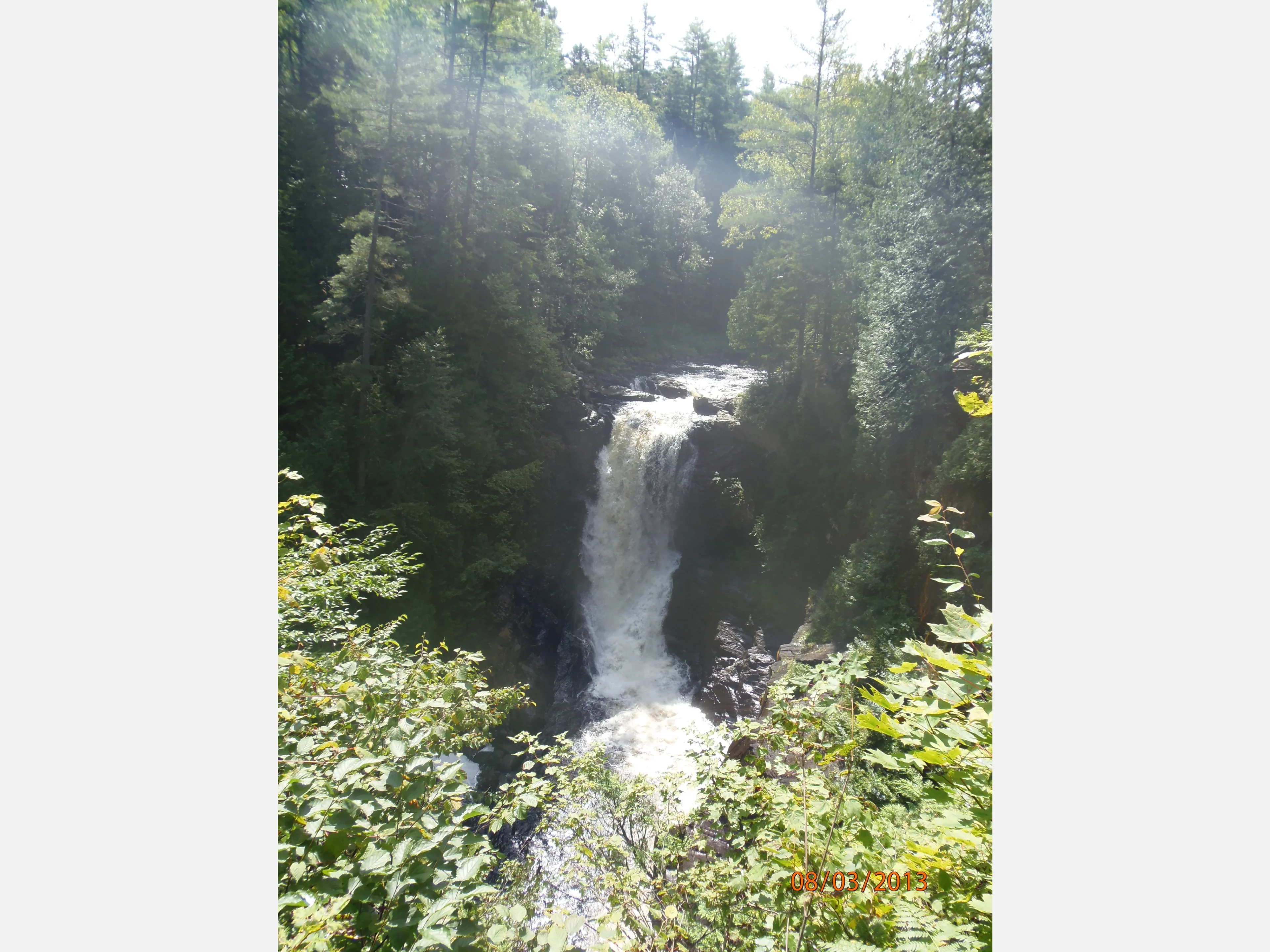 A waterfall cascading through a lush green forest.